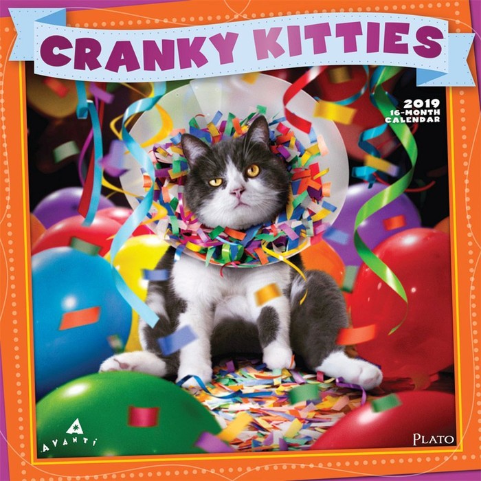 Cranky Kitties Wall Calendar, Funny Cats by Calendars Tanga