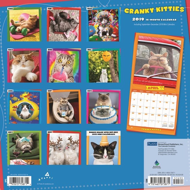 Cranky Kitties Wall Calendar, Funny Cats by Calendars Tanga