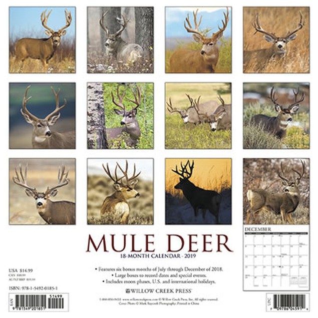 Mule Deer Wall Calendar, by WILLOW Tanga