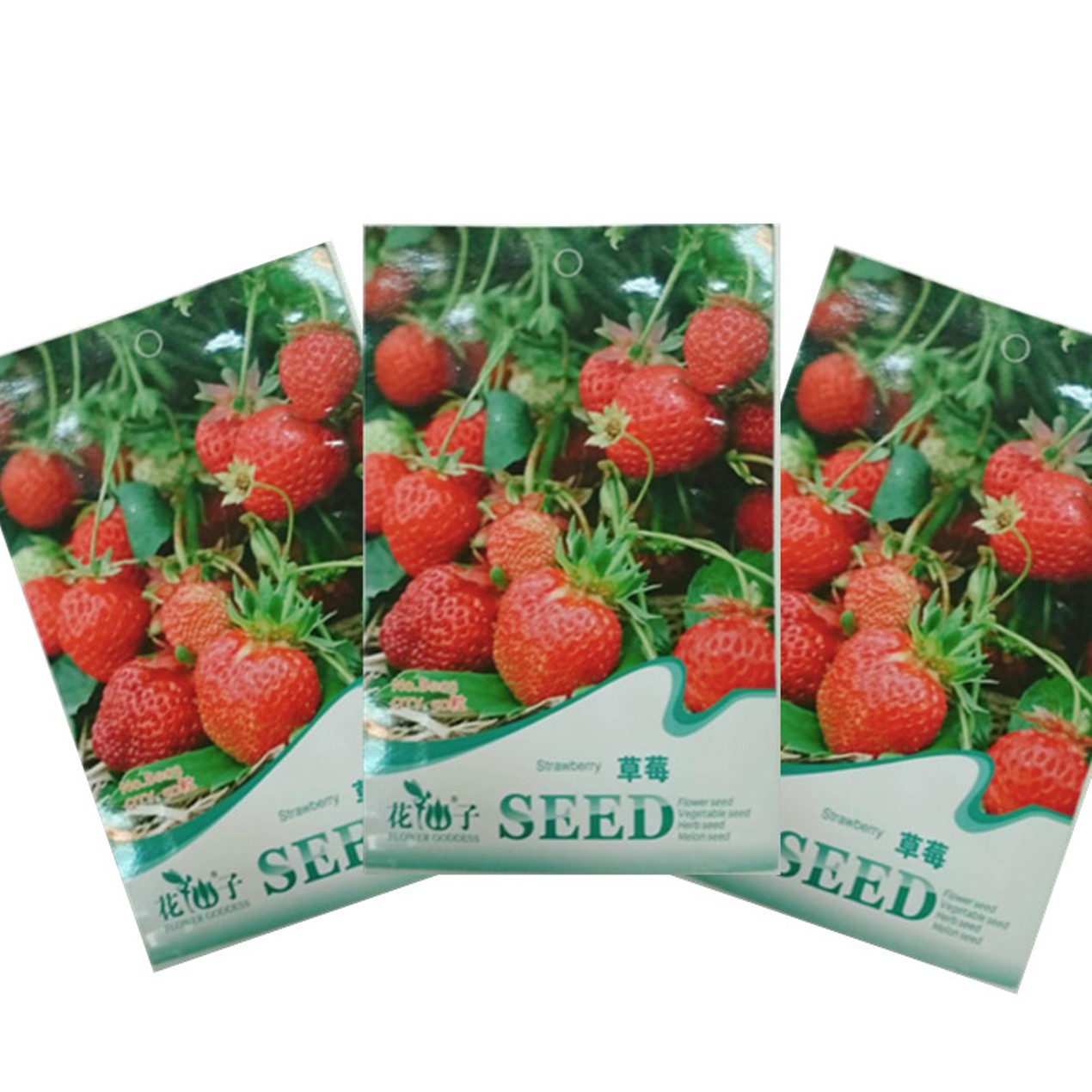 200+ Strawberry Seeds – Four Seasons Perennial – Plant Indoor Or Outdoor – Full Sun