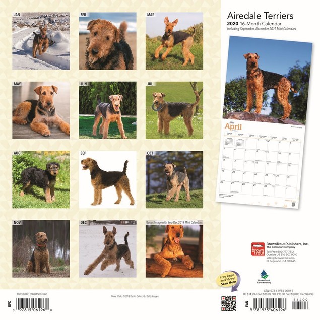 Airedale Terriers Wall Calendar, Airedale Terrier by Calendars - Tanga Airedale Terriers Wall Calendar, Airedale Terrier by Calendars - Tanga