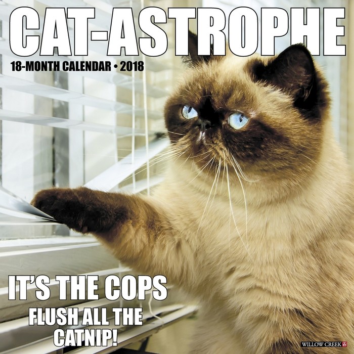 Cat Astrophe Wall Calendar Funny Cats By Calendars Tanga cat-astrophe-wall-calendar-funny-cats-by-calendars-tanga