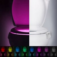 SAVE: Motion Activated Toilet Light