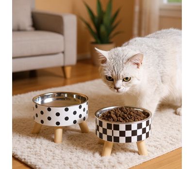 Stainless Steel Raised Pet Bowl