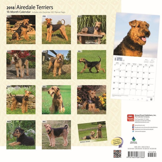 Airedale Terriers Wall Calendar, by BrownTrout - Tanga Airedale Terriers Wall Calendar, by BrownTrout - Tanga