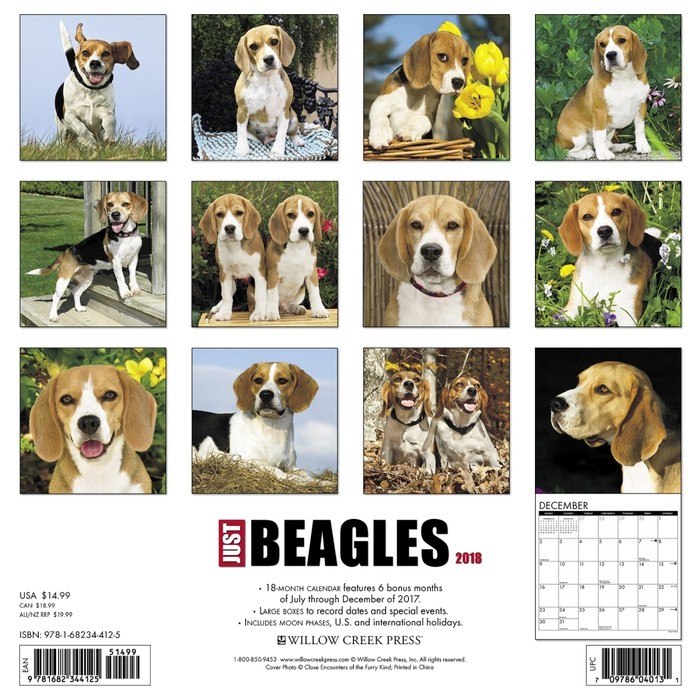 Just Beagles Wall Calendar, by Willow Creek Press - Tanga Just Beagles Wall Calendar, by Willow Creek Press - Tanga