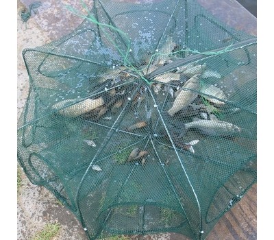 Hexagonal Foldable Automatic Fishing Net for Shrimp, Crab and Fish - Tanga