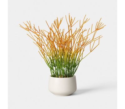 16" Artificial Pencil Cactus Dish Garden - Threshold