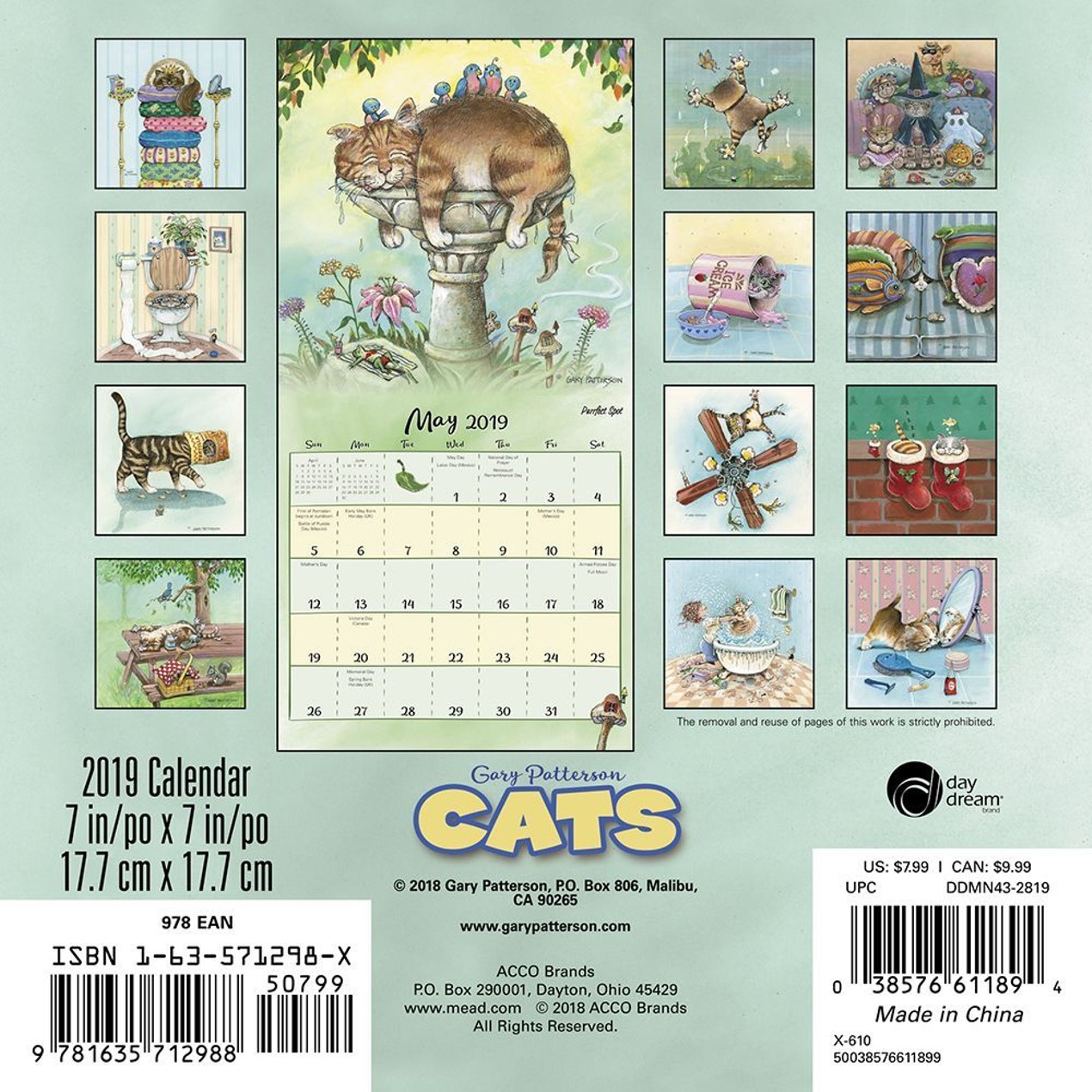 Gary Pattersons Cats Mini Wall Calendar, Funny Cats by Calendars Tanga