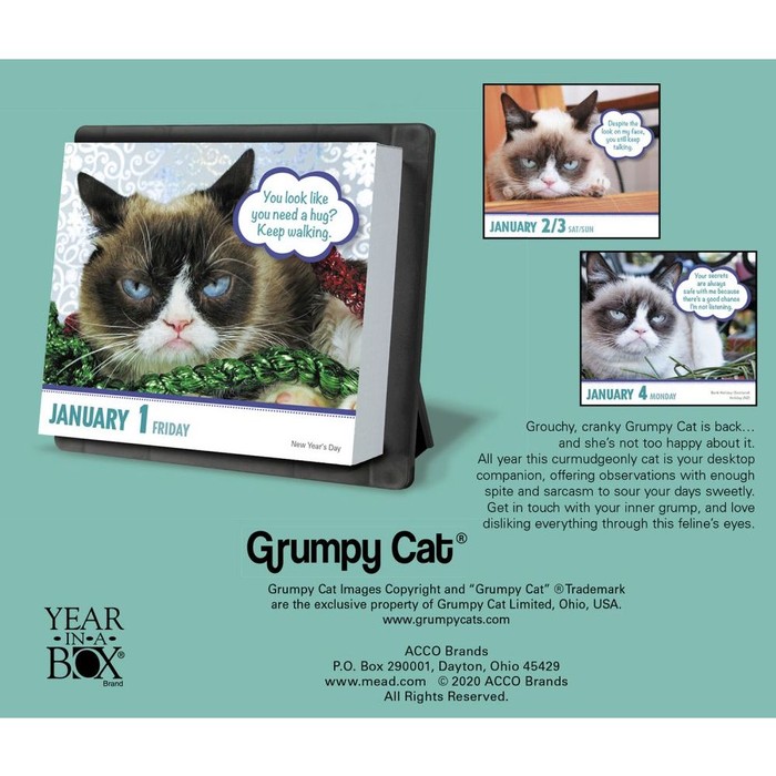 Grumpy Cat Desk Calendar, by ATAGLA Tanga