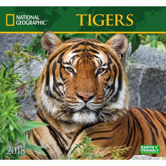 Tigers National Geographic Wall Calendar, by ZEBRAS Tanga