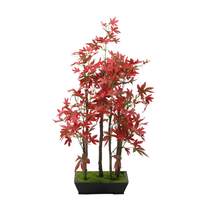 25" Artificial Red Japanese Maple Bonsai Tree with Weathered Base - Tanga