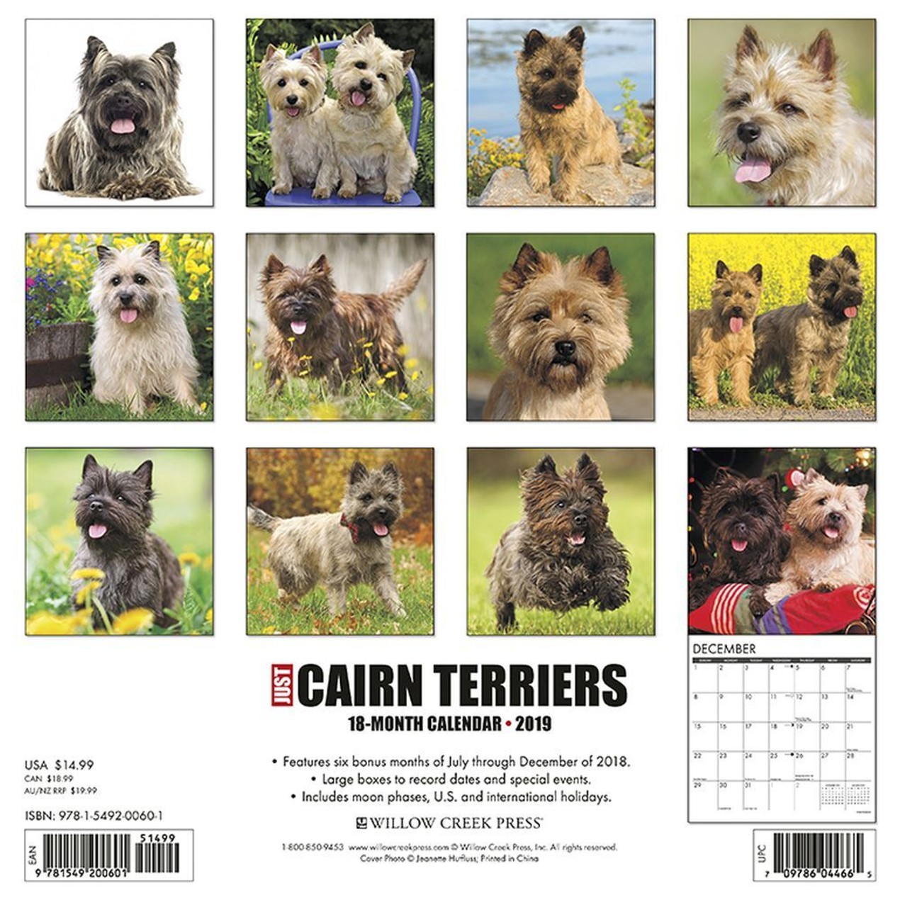 Cairn Terrier Wall Calendar By Willow Tanga