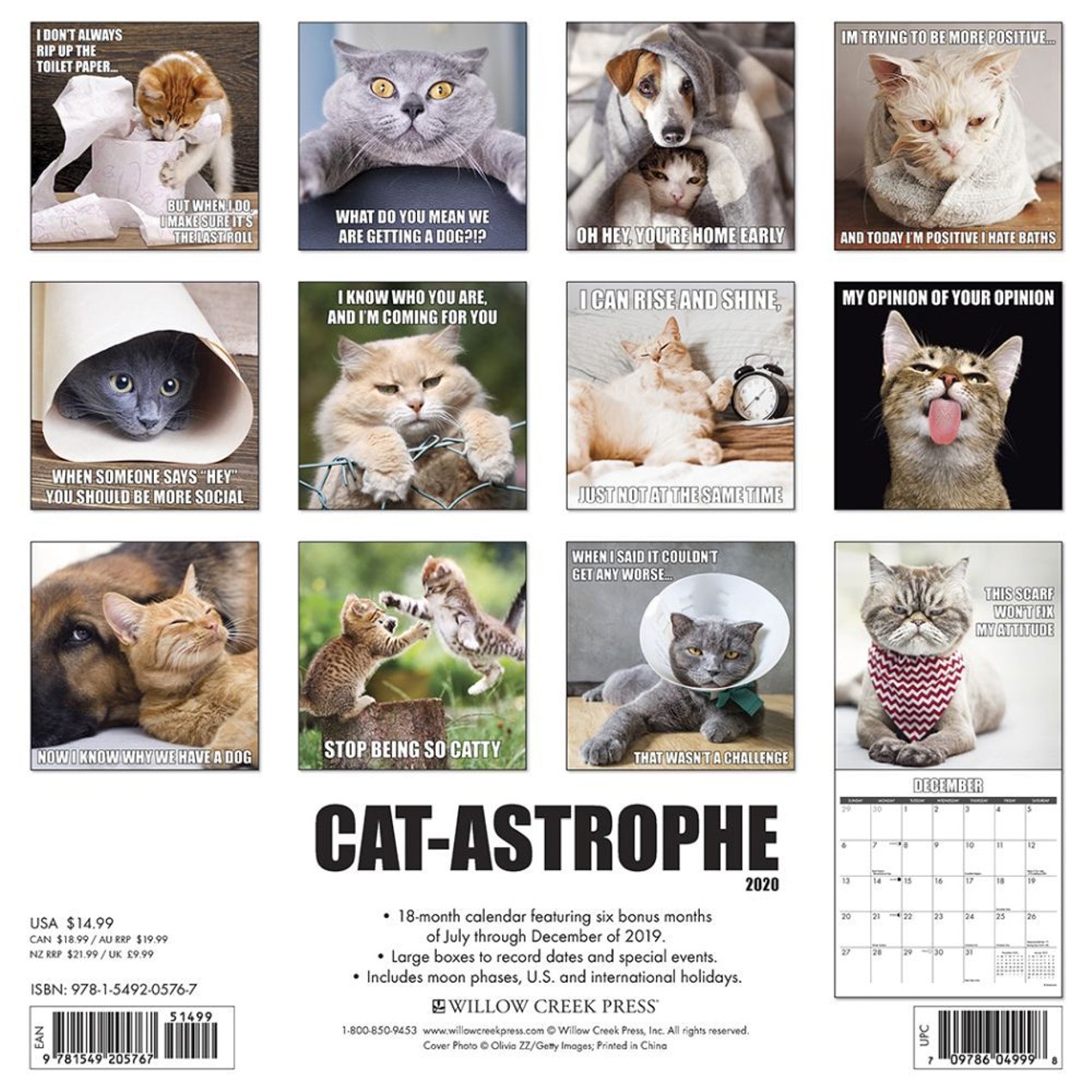 CatAstrophe Wall Calendar, Funny Cats by Calendars Tanga