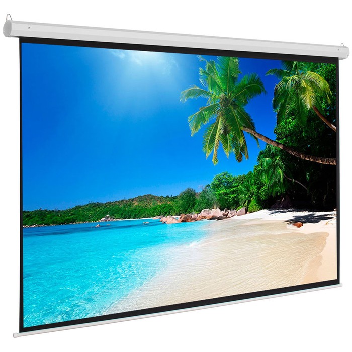 100 INCH 4:3 Manual Projector Screen Matte White - Tanga