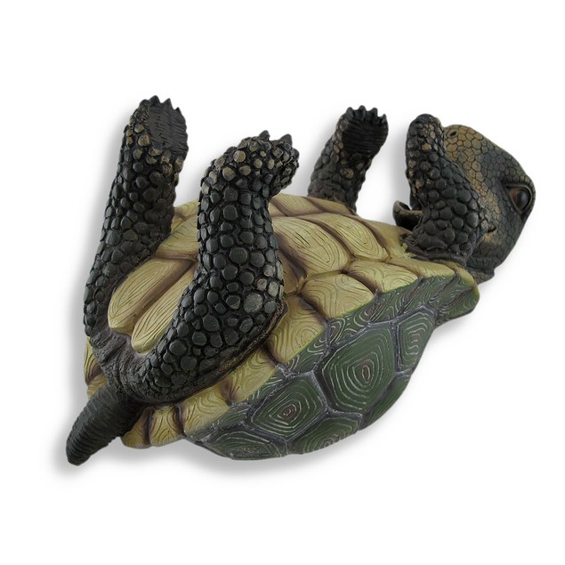 Slow But Steady Turtle Single Wine Bottle Holder Tabletop Wine Racks ...