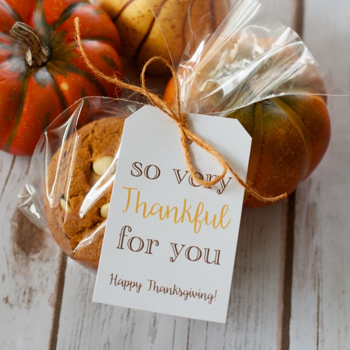 So Very Thankful for You Gift Tag Printable BelleChic
