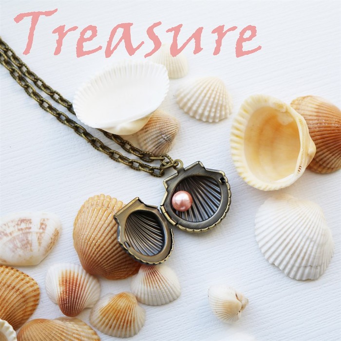 Sea Shell Locket - BelleChic