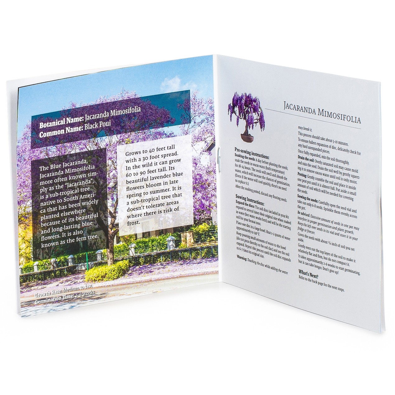 Planters' Choice Bonsai Starter Kit - Watch the Video - Tanga Planters' Choice Bonsai Starter Kit - Watch the Video - Tanga