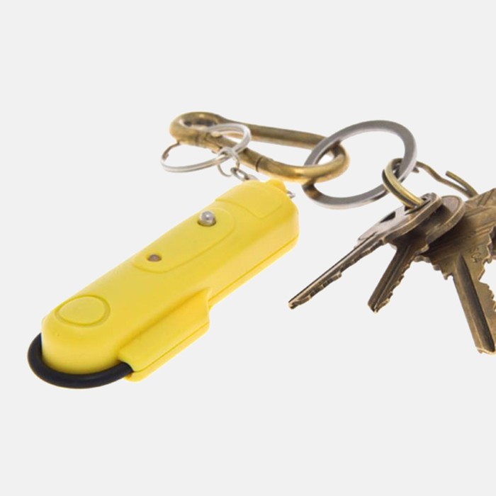 World's Smallest Stud Finder Key Chain - Tanga